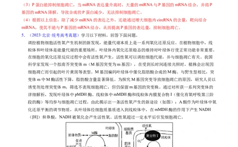 专题07细胞得分化、衰老、凋亡及癌变-五年（2019-2023）高考生物真题分项汇编（全国通用）（解析版）_赠送：2008-2024全套高考真题_高考生物真题