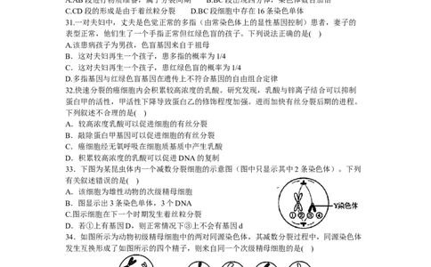 黑龙江哈尔滨第三中学2024届高三上学期第二次验收考试生物(1)_2023年9月_029月合集_2024届黑龙江哈尔滨第三中学高三上学期第二次验收考试