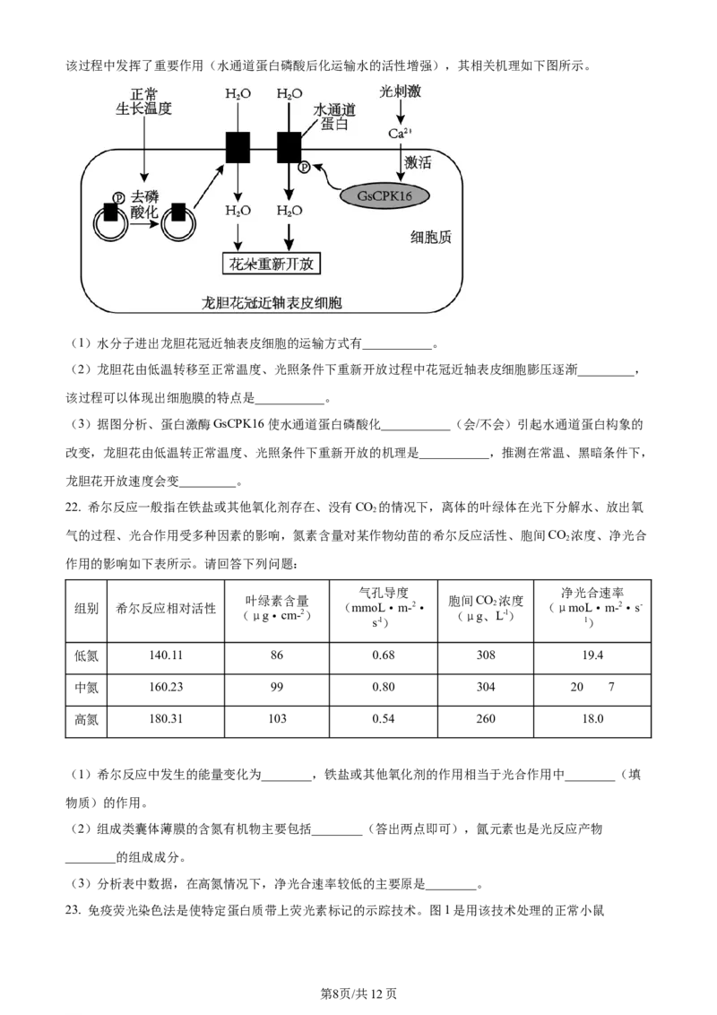 辽宁省重点高中沈阳市郊联体2023-2024学年高三上学期10月月考生物(1)_2023年10月_01每日更新_26号_2024届辽宁省重点高中沈阳市郊联体高三上学期10月月考