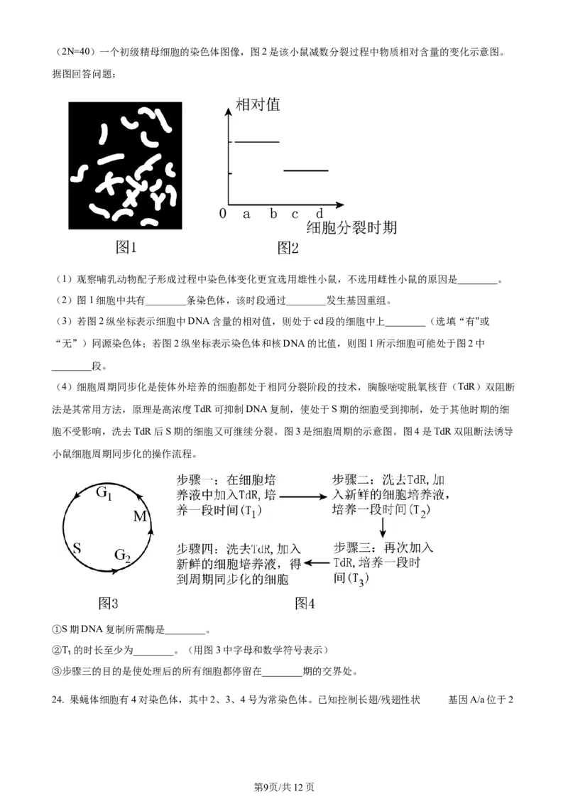 辽宁省重点高中沈阳市郊联体2023-2024学年高三上学期10月月考生物(1)_2023年10月_01每日更新_26号_2024届辽宁省重点高中沈阳市郊联体高三上学期10月月考