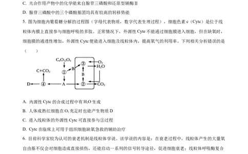 辽宁省重点高中沈阳市郊联体2023-2024学年高三上学期10月月考生物(1)_2023年10月_01每日更新_26号_2024届辽宁省重点高中沈阳市郊联体高三上学期10月月考