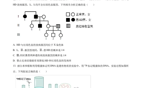 辽宁省重点高中沈阳市郊联体2023-2024学年高三上学期10月月考生物(1)_2023年10月_01每日更新_26号_2024届辽宁省重点高中沈阳市郊联体高三上学期10月月考
