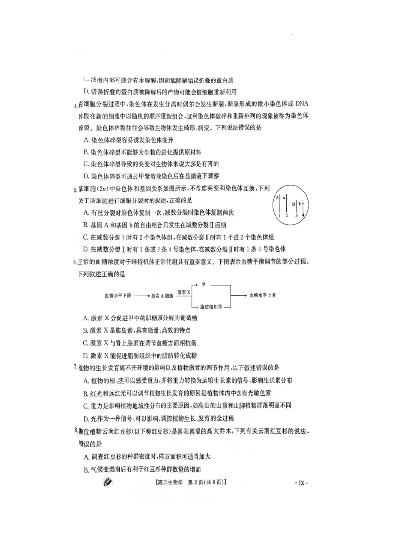 江西金太阳高三上(联考Ⅰ)-生物试题+答案(1)_2023年9月_029月合集_2024届江西省金太阳高三上学期9月第一次联考