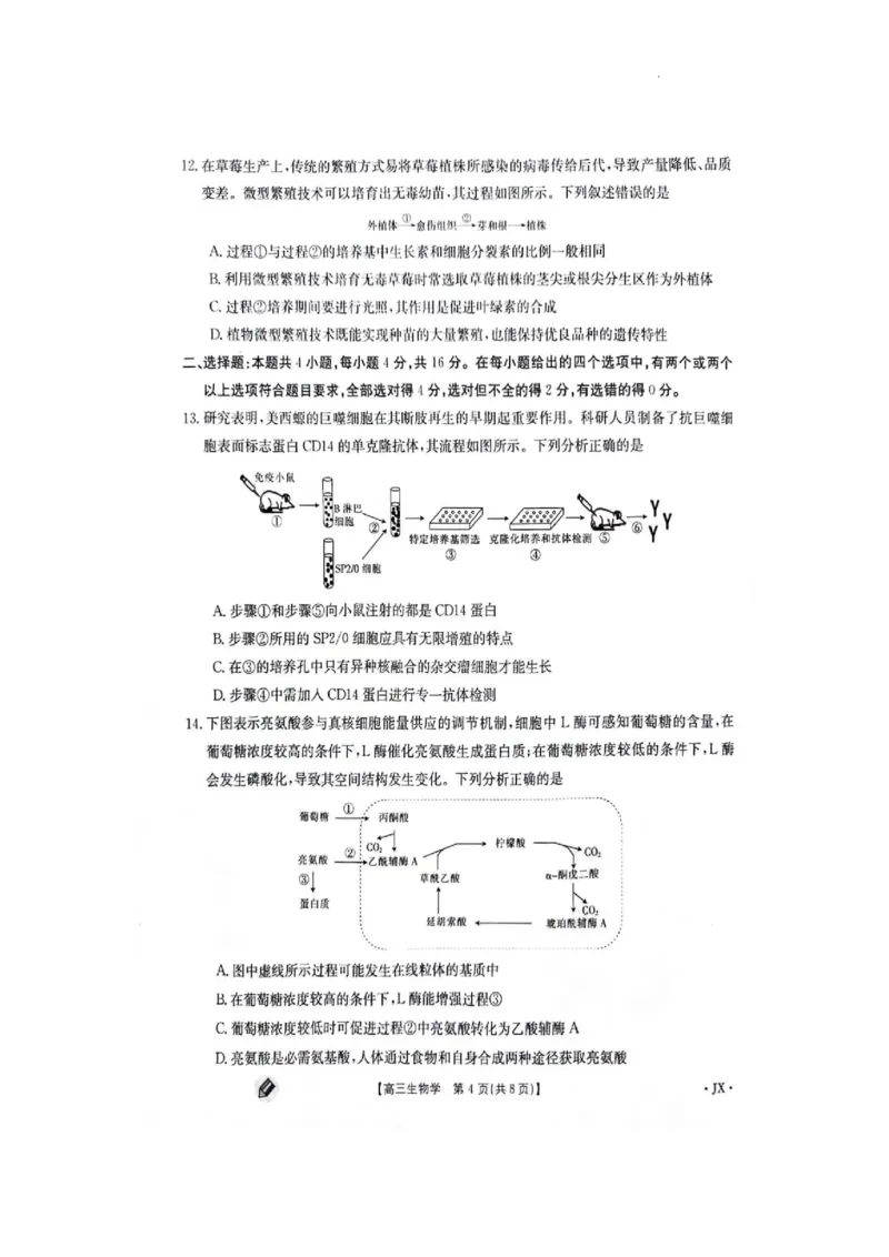 江西金太阳高三上(联考Ⅰ)-生物试题+答案(1)_2023年9月_029月合集_2024届江西省金太阳高三上学期9月第一次联考
