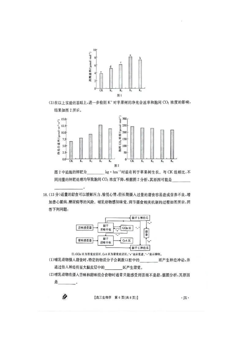 江西金太阳高三上(联考Ⅰ)-生物试题+答案(1)_2023年9月_029月合集_2024届江西省金太阳高三上学期9月第一次联考