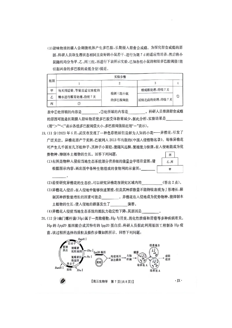 江西金太阳高三上(联考Ⅰ)-生物试题+答案(1)_2023年9月_029月合集_2024届江西省金太阳高三上学期9月第一次联考