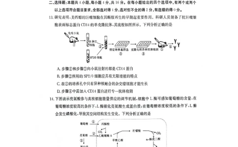 江西金太阳高三上(联考Ⅰ)-生物试题+答案(1)_2023年9月_029月合集_2024届江西省金太阳高三上学期9月第一次联考