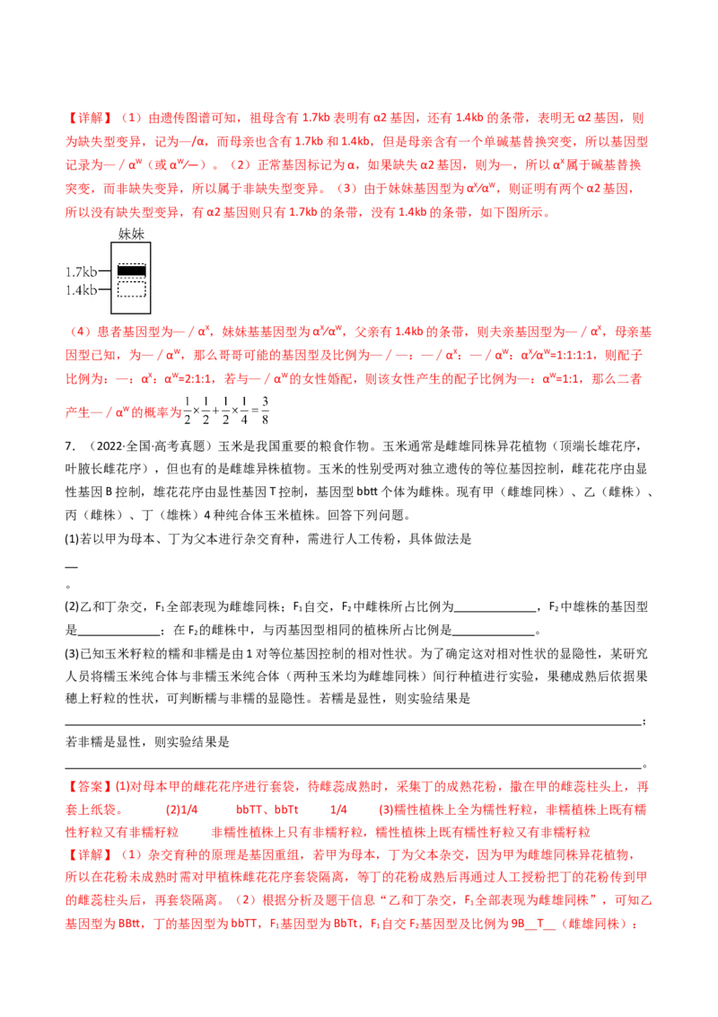 专题11基因的分离定律（解析卷）_近10年高考真题汇编（必刷）_十年（2014-2024）高考生物真题分项汇编（全国通用）_十年（2014-2023）高考生物真题分项汇编（全国通用）