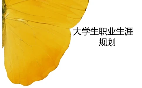 广告学-职业职业生涯规划_E6-职业规划_16广告专业(1)