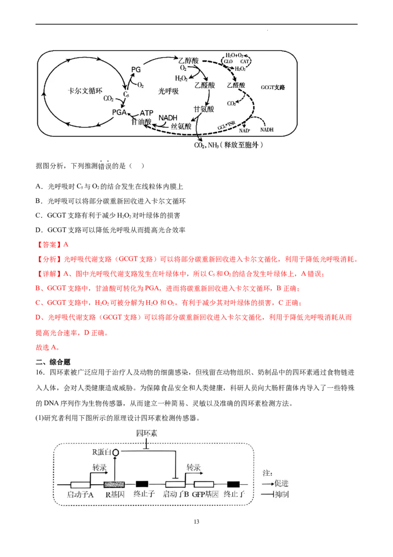 生物（北京卷）（全解全析）_2023高考押题卷_学易金卷-2023学科网押题卷（各科各版本）_2023学科网押题卷-学易金卷-生物_生物（北京卷）-学易金卷：2023年高考考前押题密卷
