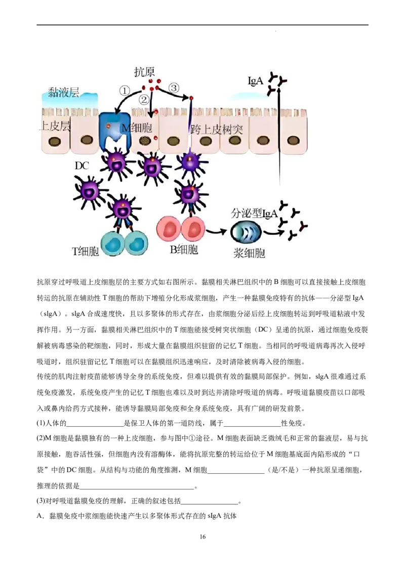 生物（北京卷）（全解全析）_2023高考押题卷_学易金卷-2023学科网押题卷（各科各版本）_2023学科网押题卷-学易金卷-生物_生物（北京卷）-学易金卷：2023年高考考前押题密卷
