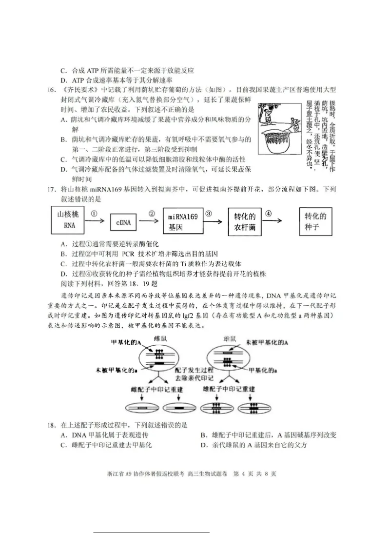 浙江省A9协作体2023-2024学年高三暑假返校联考生物(1)_2023年8月_028月合集_2024届浙江省A9协作体高三上学期暑假返校联考