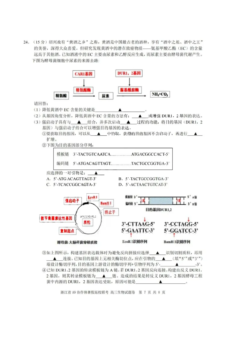 浙江省A9协作体2023-2024学年高三暑假返校联考生物(1)_2023年8月_028月合集_2024届浙江省A9协作体高三上学期暑假返校联考