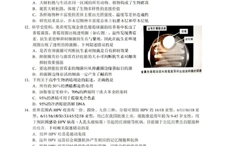 浙江省A9协作体2023-2024学年高三暑假返校联考生物(1)_2023年8月_028月合集_2024届浙江省A9协作体高三上学期暑假返校联考