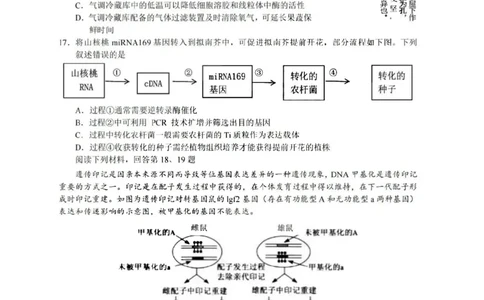 浙江省A9协作体2023-2024学年高三暑假返校联考生物(1)_2023年8月_028月合集_2024届浙江省A9协作体高三上学期暑假返校联考