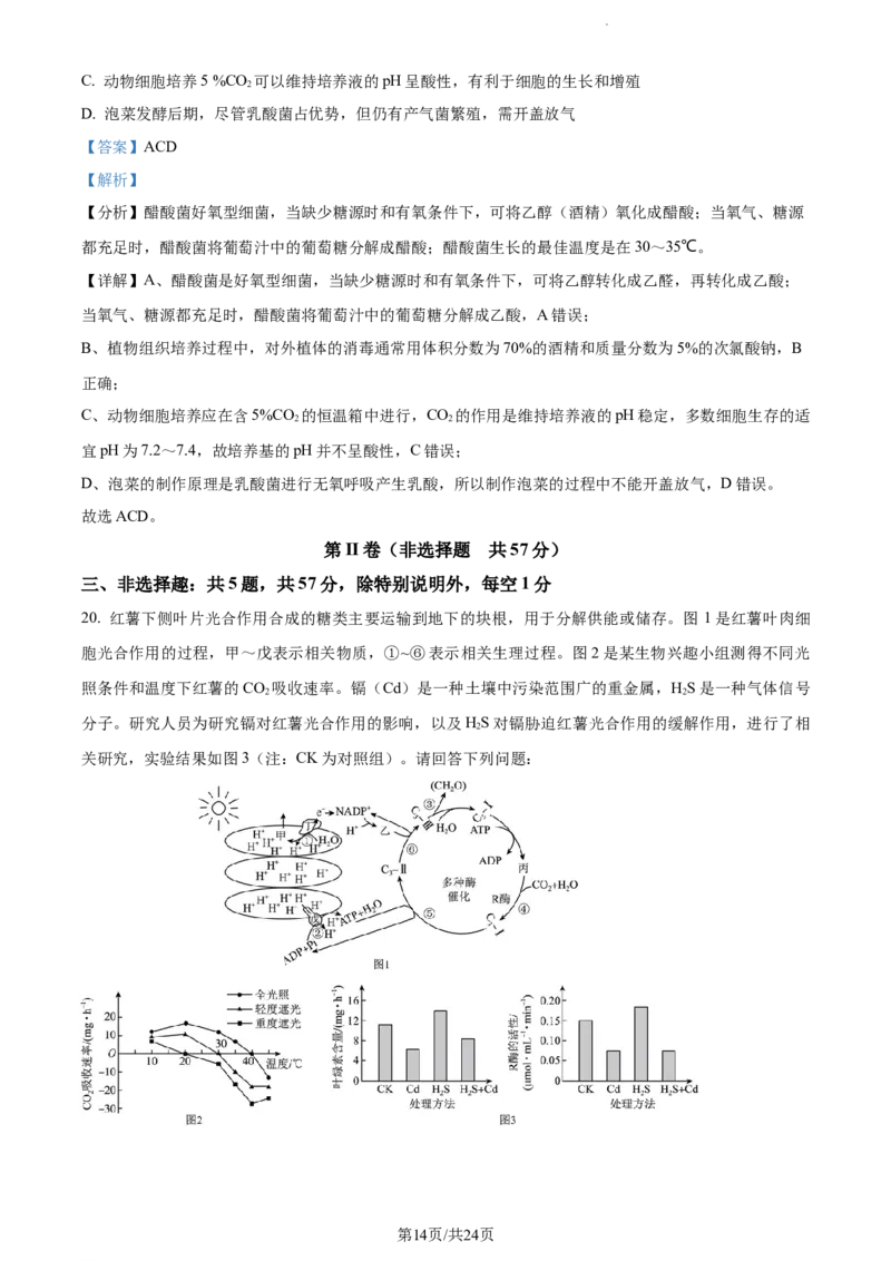 精品解析：江苏省泰州中学2023-2024学年高三上学期期初调研考试生物试题（解析版）_2023年9月_01每日更新_13号_2024届江苏省泰州中学高三上学期期初调研考试