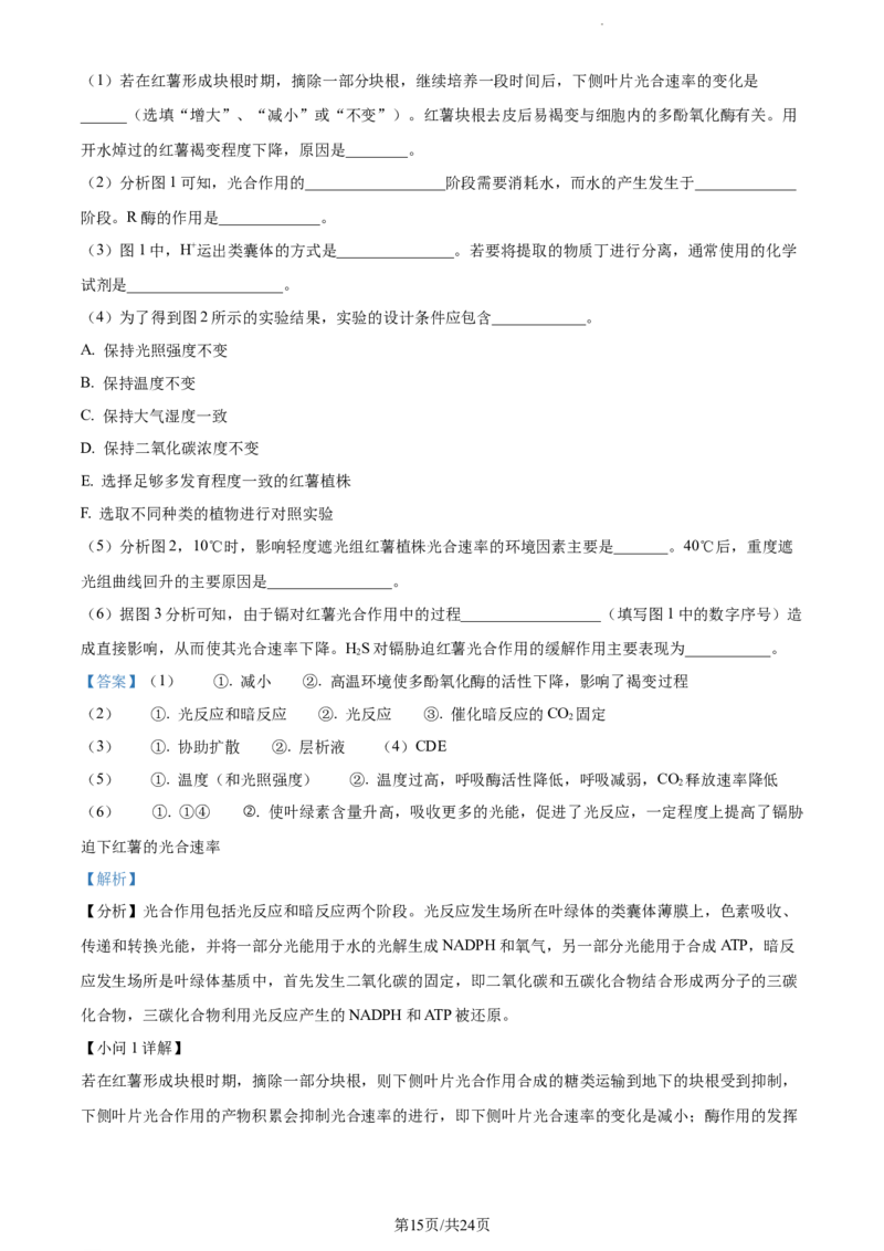 精品解析：江苏省泰州中学2023-2024学年高三上学期期初调研考试生物试题（解析版）_2023年9月_01每日更新_13号_2024届江苏省泰州中学高三上学期期初调研考试