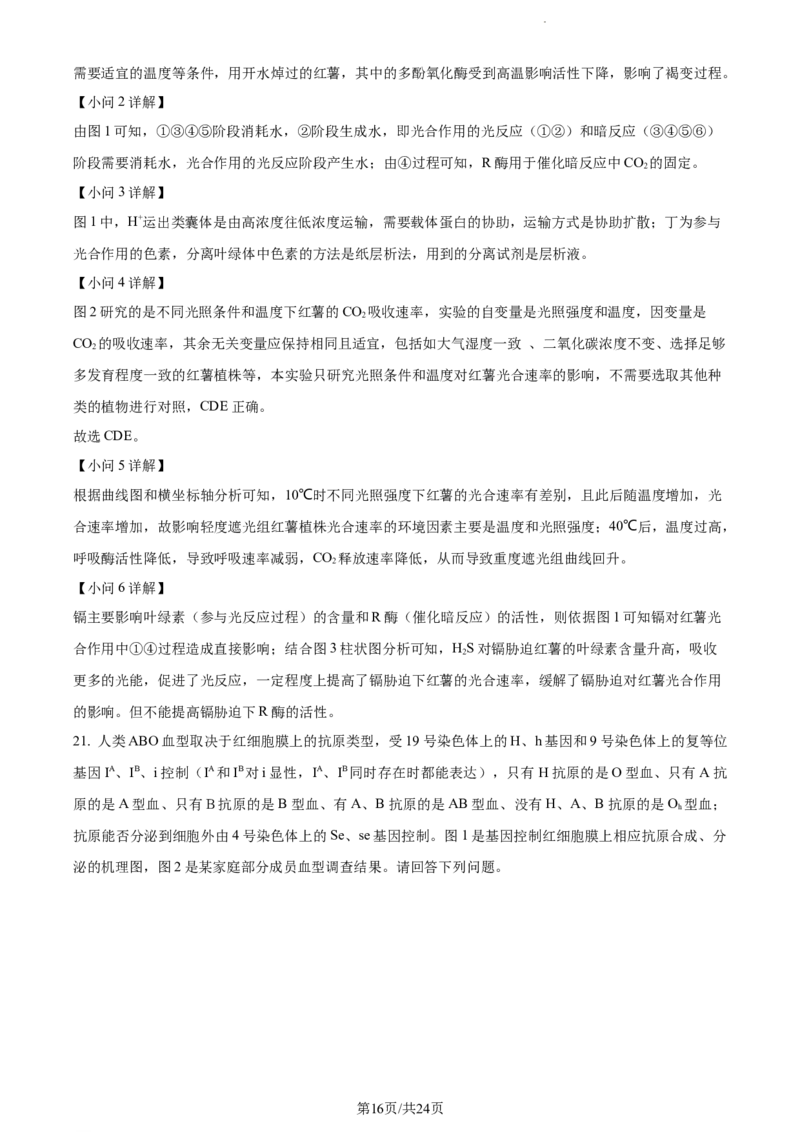 精品解析：江苏省泰州中学2023-2024学年高三上学期期初调研考试生物试题（解析版）_2023年9月_01每日更新_13号_2024届江苏省泰州中学高三上学期期初调研考试