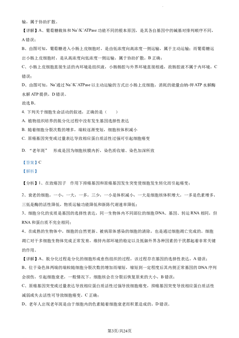 精品解析：江苏省泰州中学2023-2024学年高三上学期期初调研考试生物试题（解析版）_2023年9月_01每日更新_13号_2024届江苏省泰州中学高三上学期期初调研考试