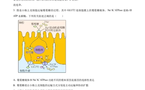 精品解析：江苏省泰州中学2023-2024学年高三上学期期初调研考试生物试题（解析版）_2023年9月_01每日更新_13号_2024届江苏省泰州中学高三上学期期初调研考试