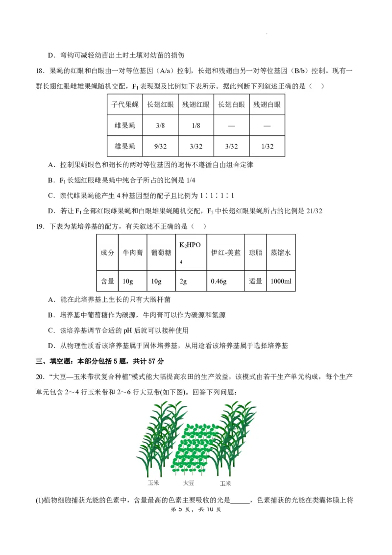 江苏省扬州市2023-2024学年高三上学期期初模拟考试生物(1)_2023年8月_028月合集_2024届江苏省扬州市高三上学期期初考试模拟