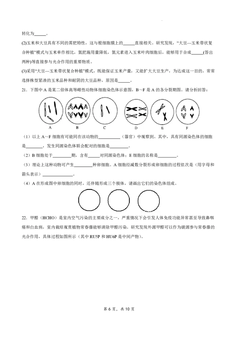 江苏省扬州市2023-2024学年高三上学期期初模拟考试生物(1)_2023年8月_028月合集_2024届江苏省扬州市高三上学期期初考试模拟
