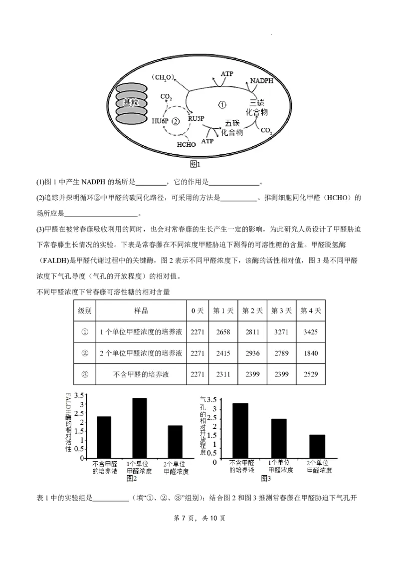 江苏省扬州市2023-2024学年高三上学期期初模拟考试生物(1)_2023年8月_028月合集_2024届江苏省扬州市高三上学期期初考试模拟