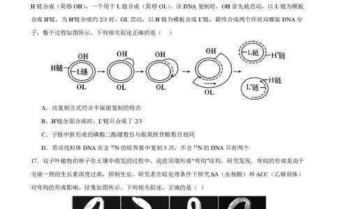 江苏省扬州市2023-2024学年高三上学期期初模拟考试生物(1)_2023年8月_028月合集_2024届江苏省扬州市高三上学期期初考试模拟