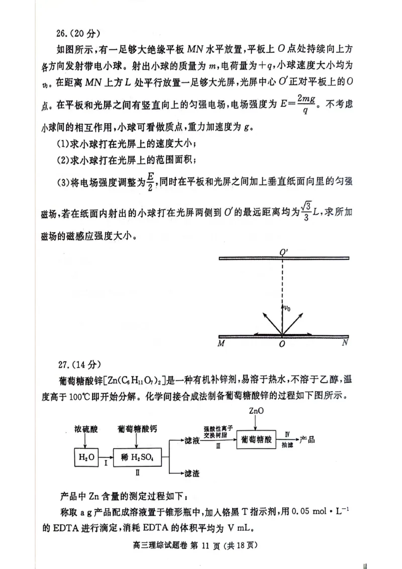 2024届河南省郑州市高三下学期第三次质量预测理科综合试题_2024年5月_01按日期_10号_2024届河南省郑州市高三下学期第三次质量预测_2024届河南省郑州市高三下学期第三次质量预测理科