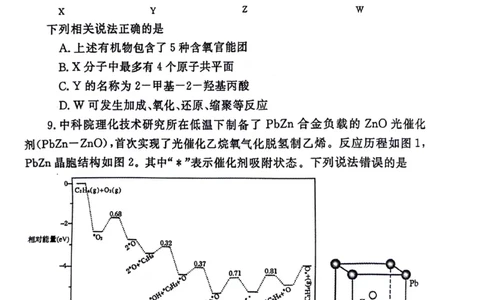 2024届河南省郑州市高三下学期第三次质量预测理科综合试题_2024年5月_01按日期_10号_2024届河南省郑州市高三下学期第三次质量预测_2024届河南省郑州市高三下学期第三次质量预测理科