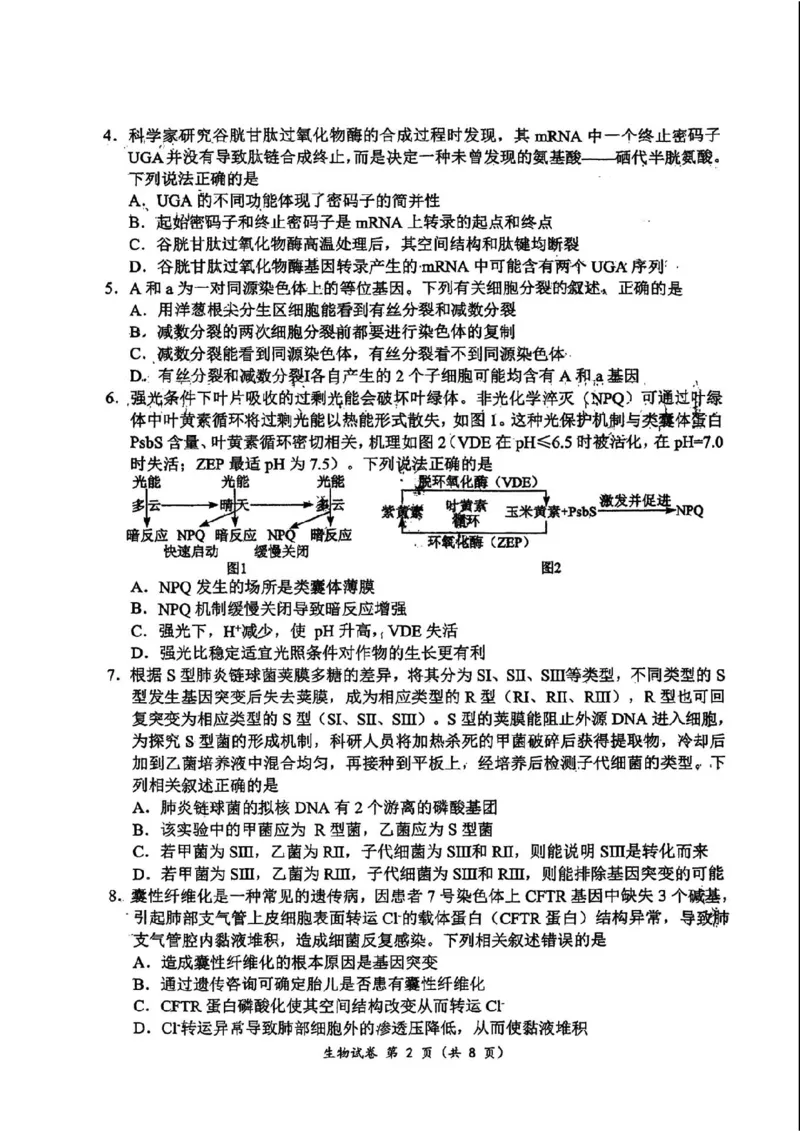 生物(1)_2023年10月_0210月合集_2024届湖北省腾云联盟上学期高三年级十月联考_湖北省腾云联盟2024届上学期高三年级十月联考生物
