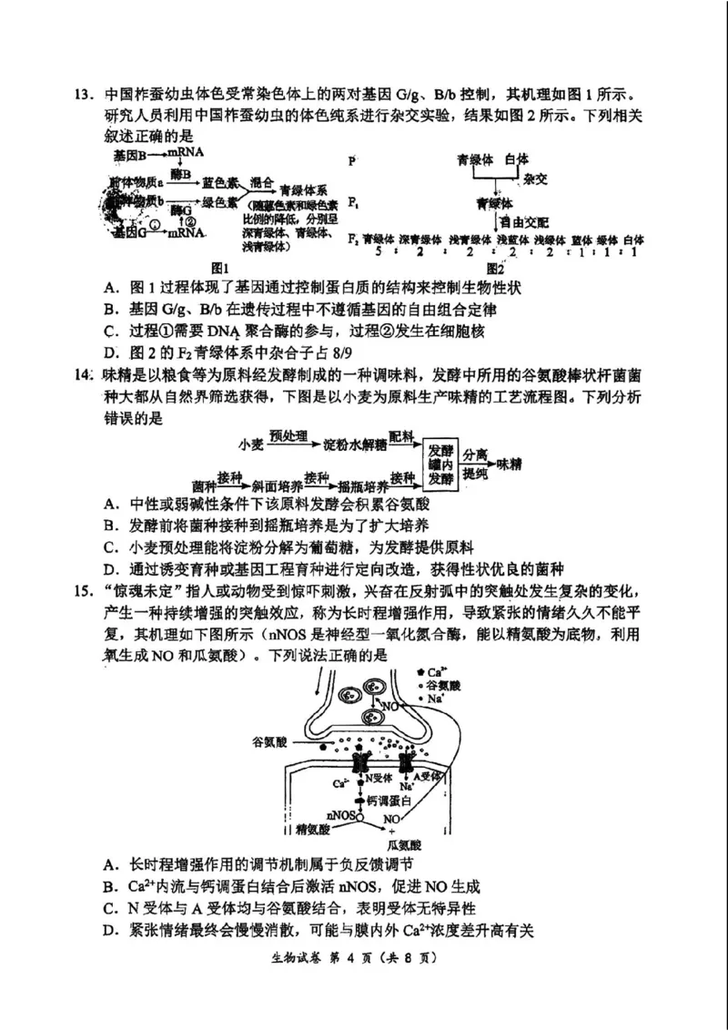 生物(1)_2023年10月_0210月合集_2024届湖北省腾云联盟上学期高三年级十月联考_湖北省腾云联盟2024届上学期高三年级十月联考生物