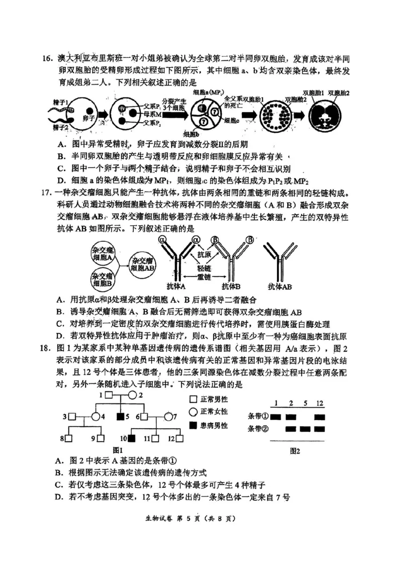 生物(1)_2023年10月_0210月合集_2024届湖北省腾云联盟上学期高三年级十月联考_湖北省腾云联盟2024届上学期高三年级十月联考生物