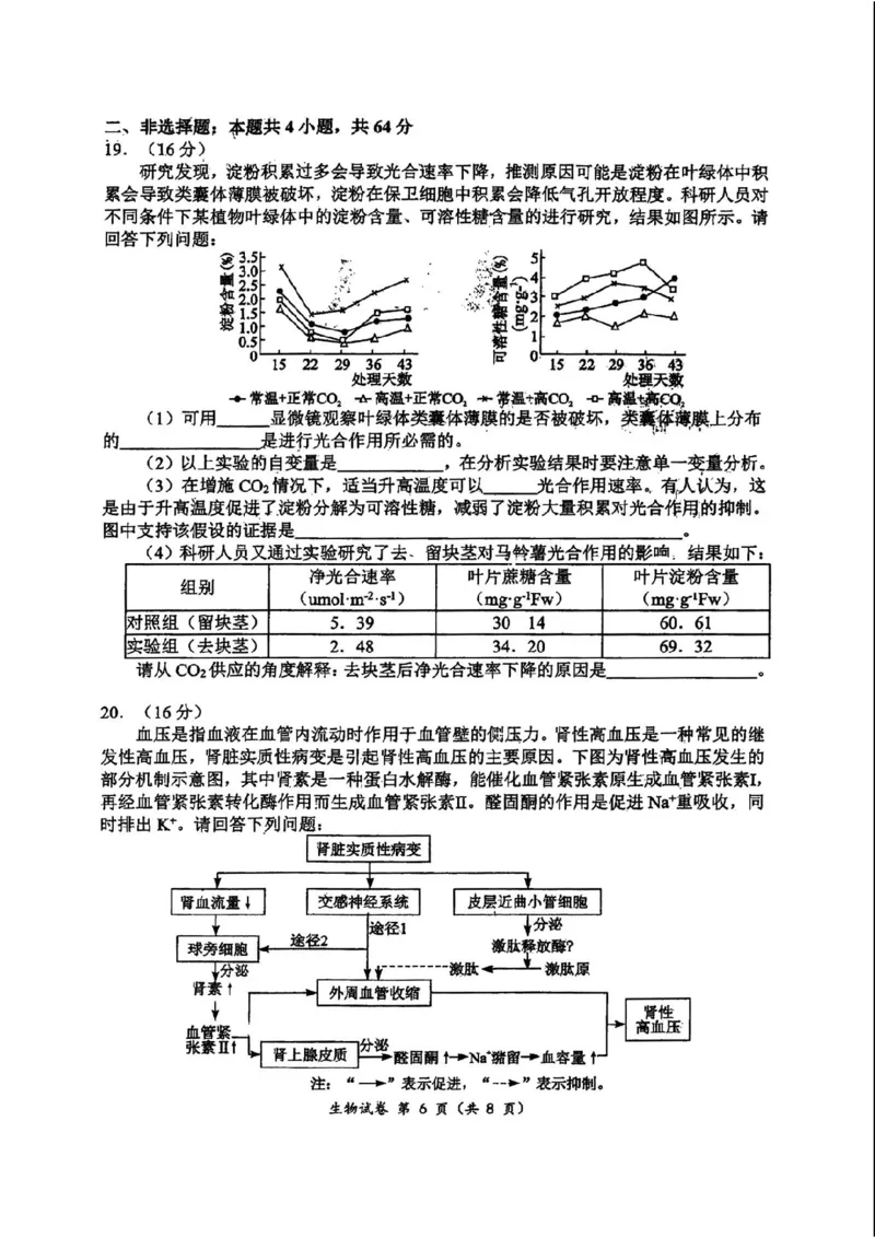 生物(1)_2023年10月_0210月合集_2024届湖北省腾云联盟上学期高三年级十月联考_湖北省腾云联盟2024届上学期高三年级十月联考生物