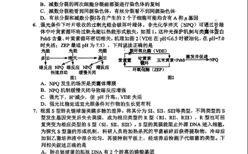 生物(1)_2023年10月_0210月合集_2024届湖北省腾云联盟上学期高三年级十月联考_湖北省腾云联盟2024届上学期高三年级十月联考生物