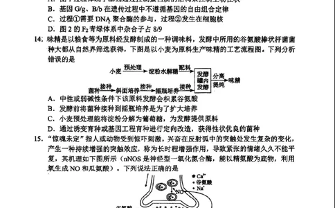 生物(1)_2023年10月_0210月合集_2024届湖北省腾云联盟上学期高三年级十月联考_湖北省腾云联盟2024届上学期高三年级十月联考生物
