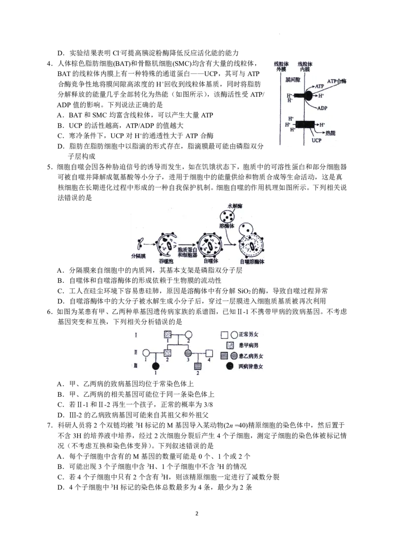 2023届河北省衡水中学高三下学期一调考试丨生物_2024年2月_01每日更新_14号_2023届河北省衡水中学高三下学期一调考试3月_2023届河北省衡水中学高三下学期一调考试3月生物