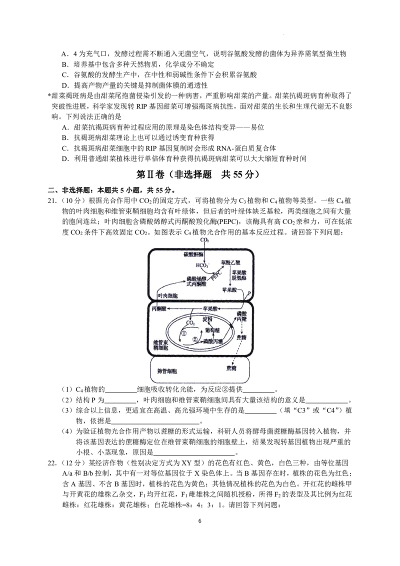 2023届河北省衡水中学高三下学期一调考试丨生物_2024年2月_01每日更新_14号_2023届河北省衡水中学高三下学期一调考试3月_2023届河北省衡水中学高三下学期一调考试3月生物