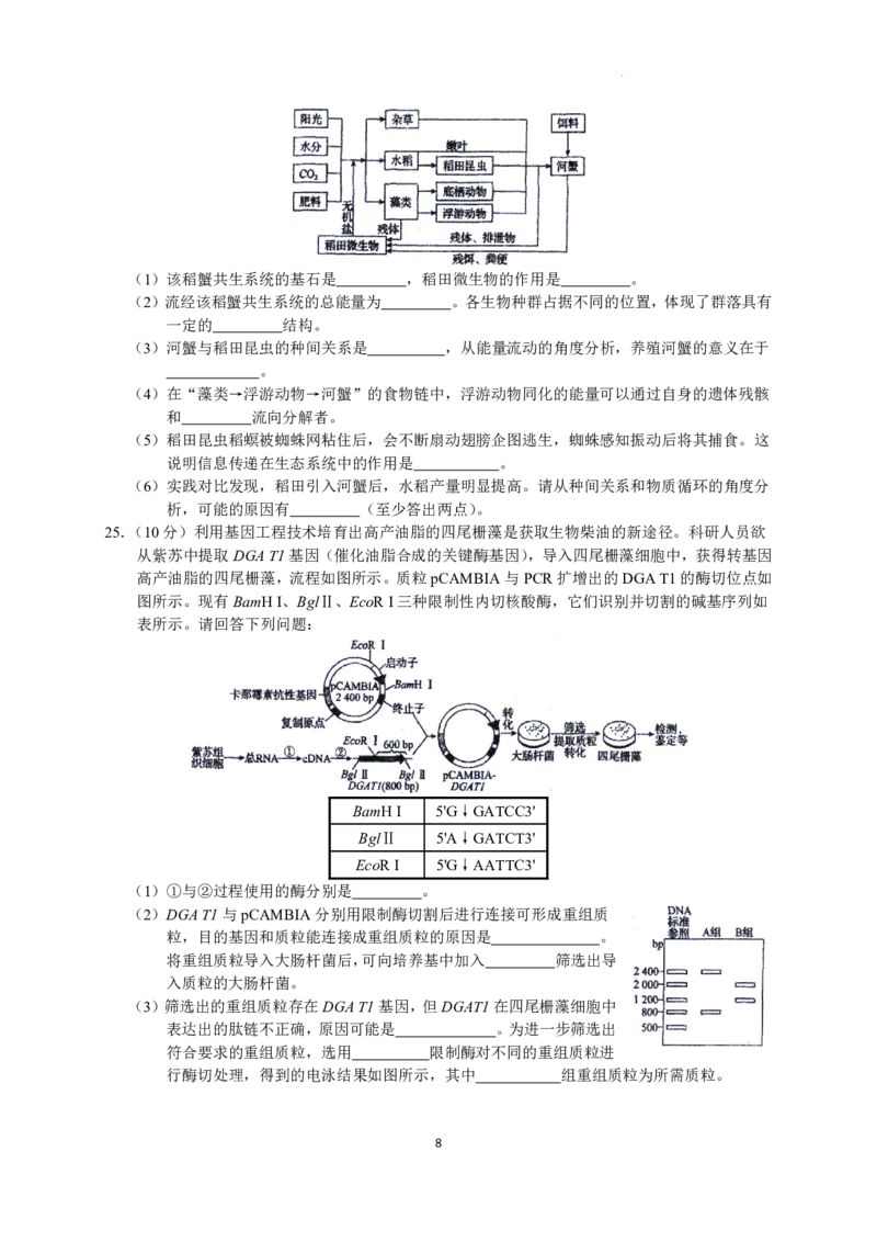 2023届河北省衡水中学高三下学期一调考试丨生物_2024年2月_01每日更新_14号_2023届河北省衡水中学高三下学期一调考试3月_2023届河北省衡水中学高三下学期一调考试3月生物