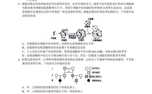 2023届河北省衡水中学高三下学期一调考试丨生物_2024年2月_01每日更新_14号_2023届河北省衡水中学高三下学期一调考试3月_2023届河北省衡水中学高三下学期一调考试3月生物