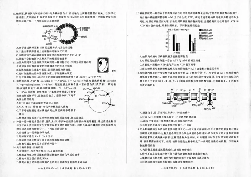 生物-百师联盟2024届高三一轮复习联考(一)新高考(1)(1)_2023年9月_029月合集_2024届百师联盟高三一轮复习联考(一)新高考