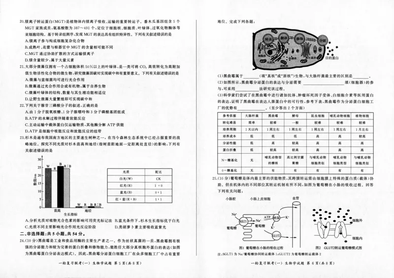 生物-百师联盟2024届高三一轮复习联考(一)新高考(1)(1)_2023年9月_029月合集_2024届百师联盟高三一轮复习联考(一)新高考