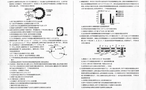 生物-百师联盟2024届高三一轮复习联考(一)新高考(1)(1)_2023年9月_029月合集_2024届百师联盟高三一轮复习联考(一)新高考