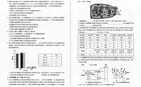 生物-百师联盟2024届高三一轮复习联考(一)新高考(1)(1)_2023年9月_029月合集_2024届百师联盟高三一轮复习联考(一)新高考