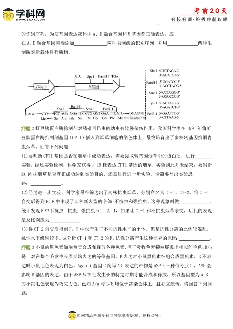 生物（二）-2024年高考考前20天终极冲刺攻略_2024高考押题卷_62024学科网全系列_20学科网高考考前终极攻略_生物-2024年高考考前20天终极冲刺攻略