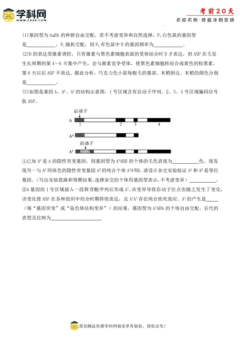 生物（二）-2024年高考考前20天终极冲刺攻略_2024高考押题卷_62024学科网全系列_20学科网高考考前终极攻略_生物-2024年高考考前20天终极冲刺攻略