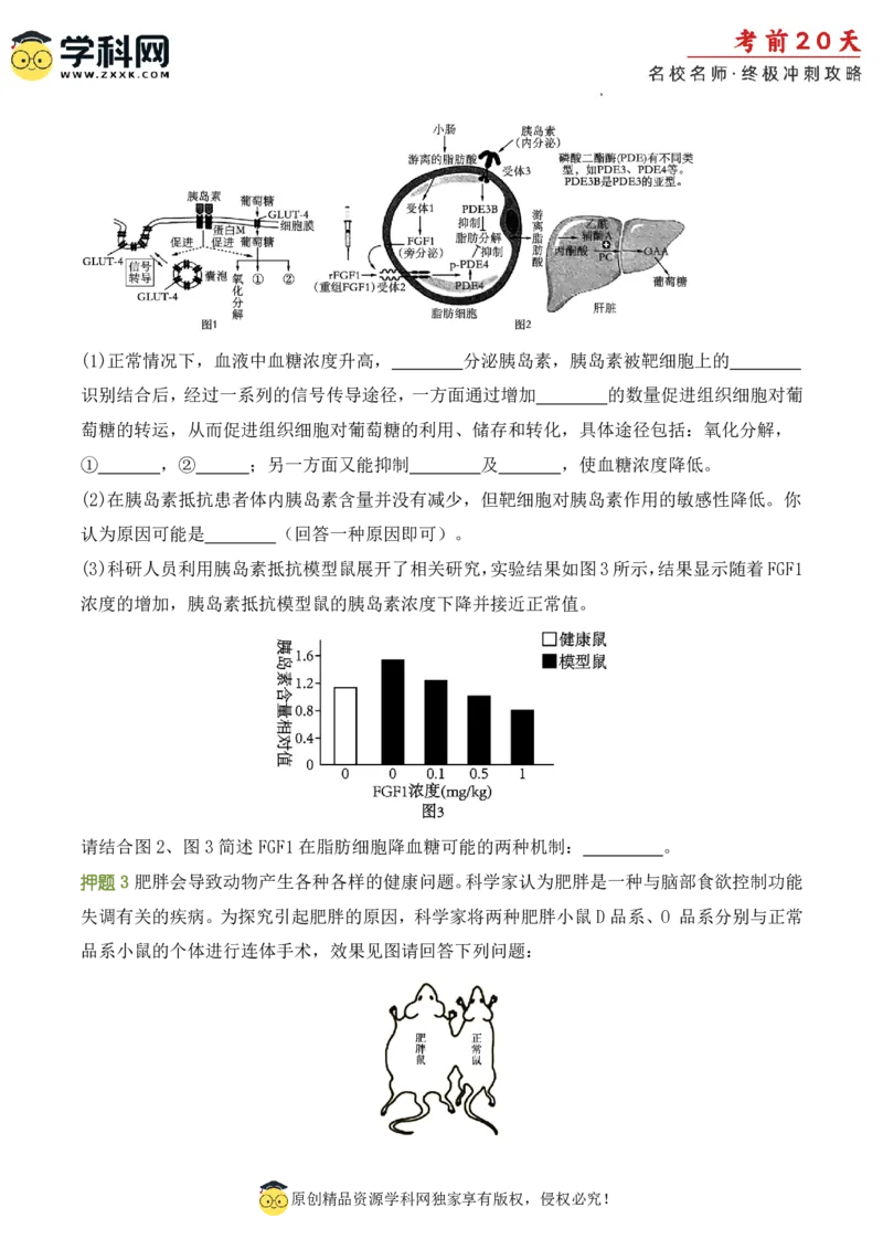 生物（二）-2024年高考考前20天终极冲刺攻略_2024高考押题卷_62024学科网全系列_20学科网高考考前终极攻略_生物-2024年高考考前20天终极冲刺攻略