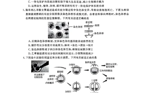 2024届河南省开封市下学期三模理综试题_2024年4月_024月合集_2024届河南省开封市高三年级第三次质量检测（开封三模）_河南省开封市2024届高三年级第三次质量检测（开封三模）理综