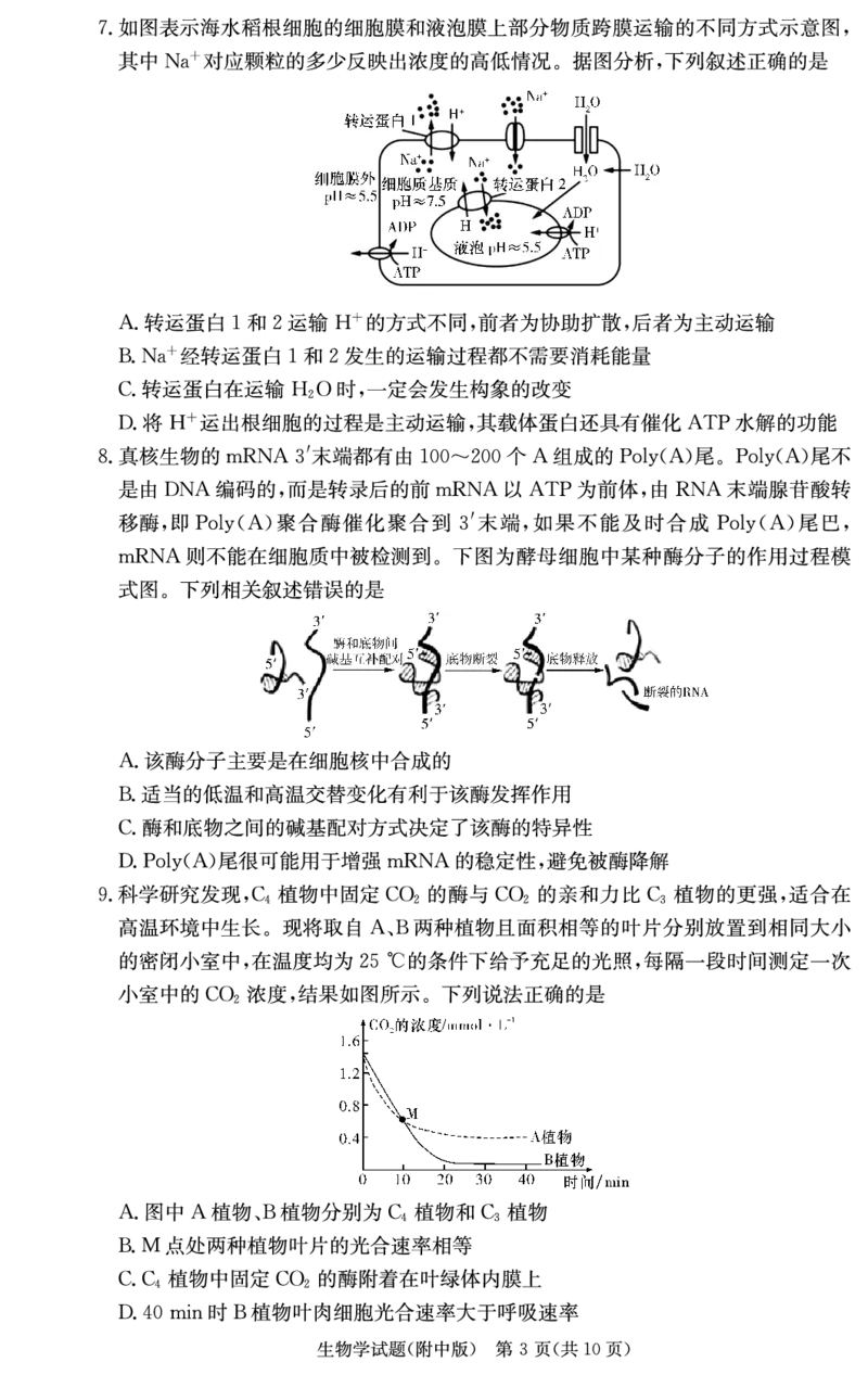 湖南师范大学附属中学2024届高三上学期月考（二）生物(1)_2023年10月_01每日更新_7号_2024届湖南师范大学附属中学高三上学期月考（二）