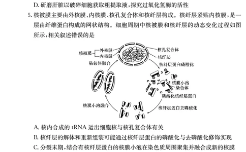 湖南师范大学附属中学2024届高三上学期月考（二）生物(1)_2023年10月_01每日更新_7号_2024届湖南师范大学附属中学高三上学期月考（二）